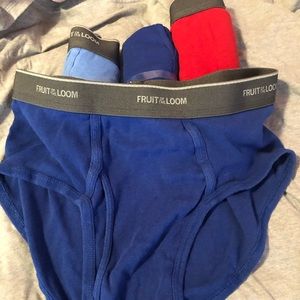 Fruit of the loom men’s briefs